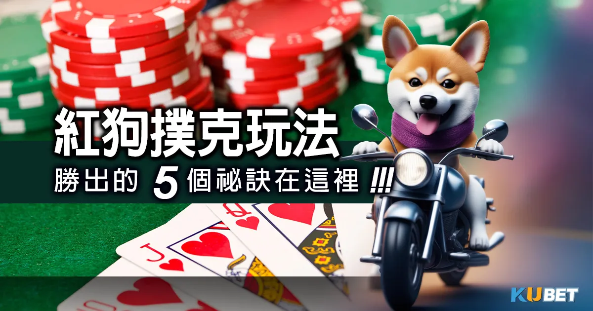 《紅狗撲克玩法》公開攻略法：勝出的5個祕訣在這裡！十點半教學